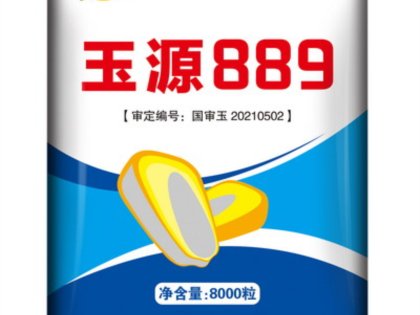 Դ889
