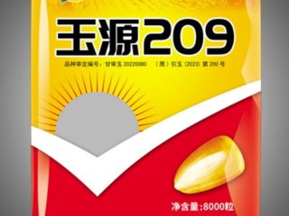 Դ209